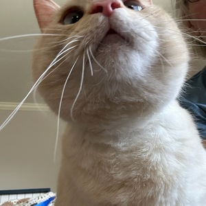 Fundraising Page: Christine Beutler